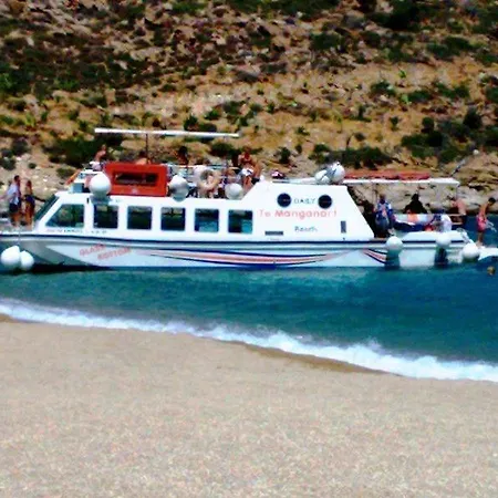 ホテル Delfini 2*