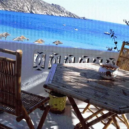 δελφίνι
